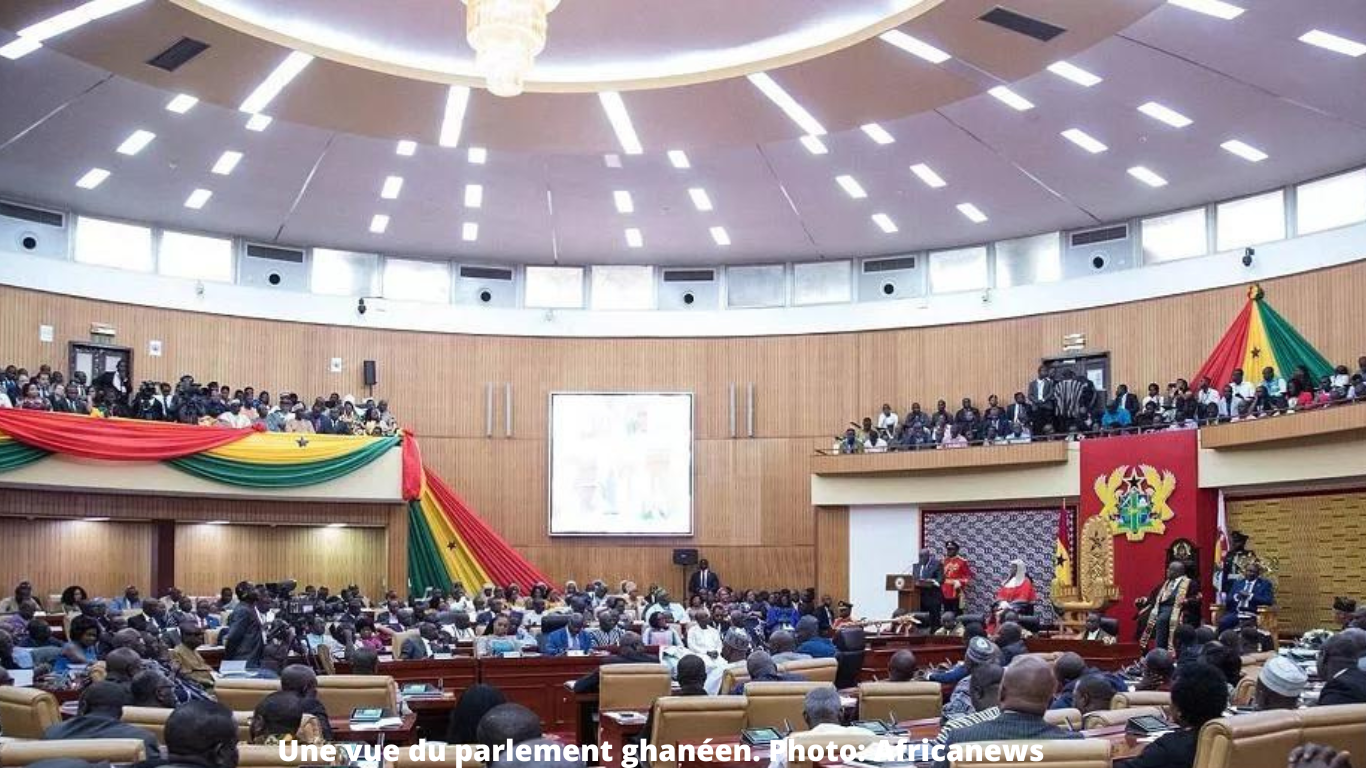 Slik ser Ghanas forsamling ut. Foto: Africanews