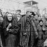 En konsentrasjonsleier i Auschwitz. Photo: NTB